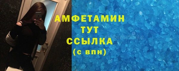 крисы Сосновый Бор