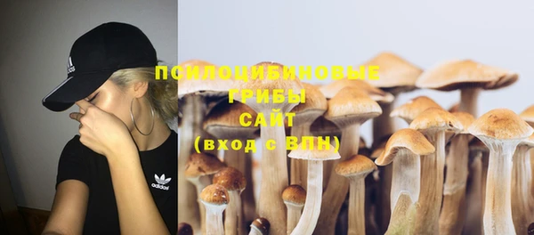 крисы Сосновый Бор