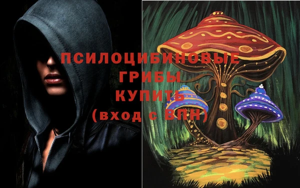 МДПВ Сосновка