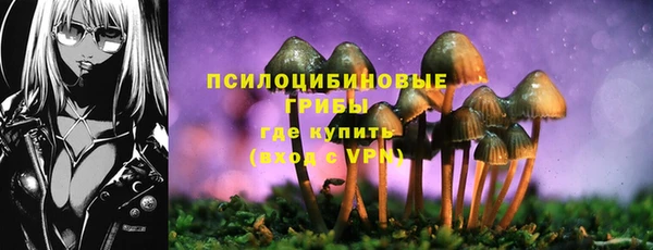 МДПВ Сосновка